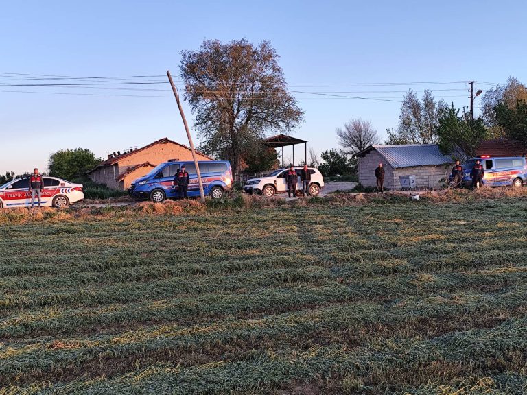 Kayıp büyükbaş hayvanlar jandarma tarafından bulundu