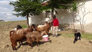 500 tam puanla Türkiye derecesi yaptı