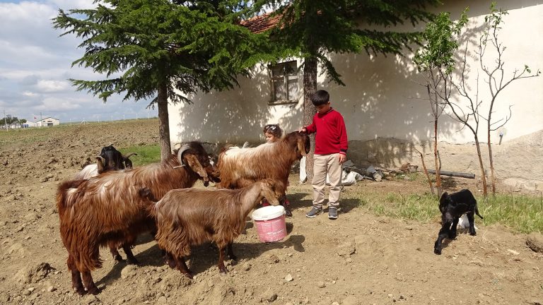 500 tam puanla Türkiye derecesi yaptı
