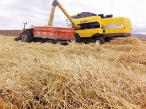 Açıkgöz: Fiyatlar gözden geçirilmeli