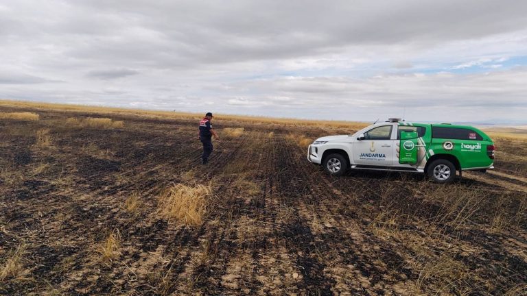 Jandarma’dan yangın sonrası doğa taraması