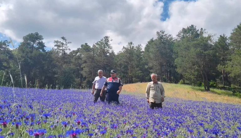 Endemik bitkiler için jandarmadan doğa nöbeti