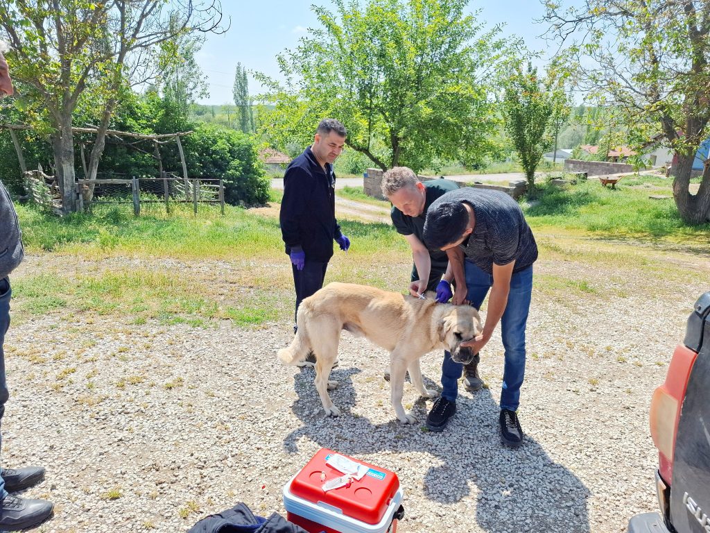Valilikten aşı ve mikroçip uyarısı