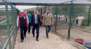 Yozgat’ta 1000 kapasiteli barınak hizmette