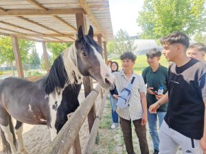 Başarılı öğrenciler Kayseri’de ödüllendirildi