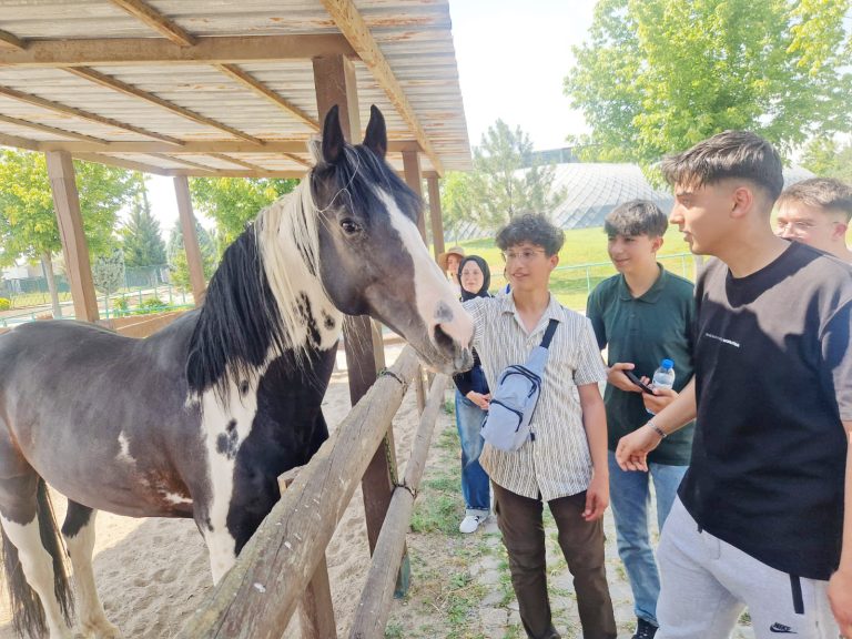 Başarılı öğrenciler Kayseri’de ödüllendirildi
