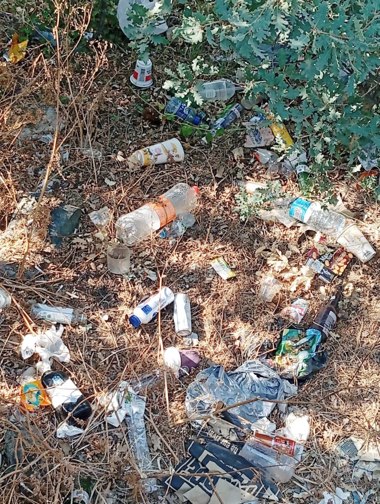 Başkan Arslan: “Başka Çamlık yok, lütfen dikkat edelim”