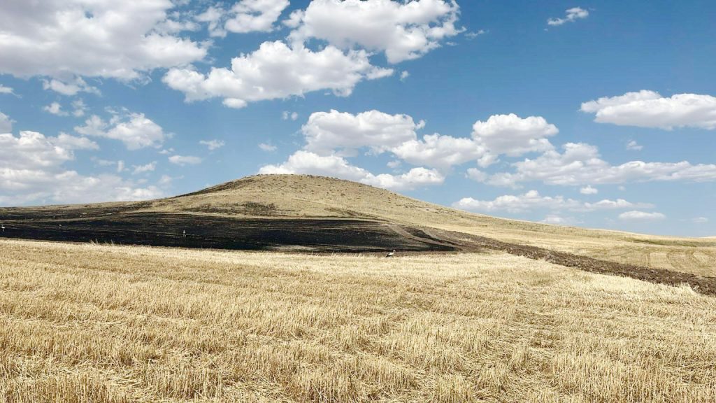 Ağaç devrilmesi yangına neden oldu