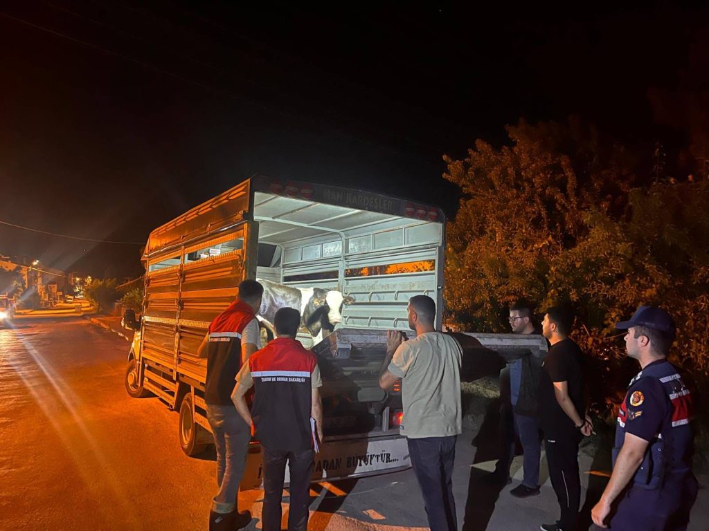 Hayvan sevkiyati engellendi: 105 bin TL ceza uygulandı