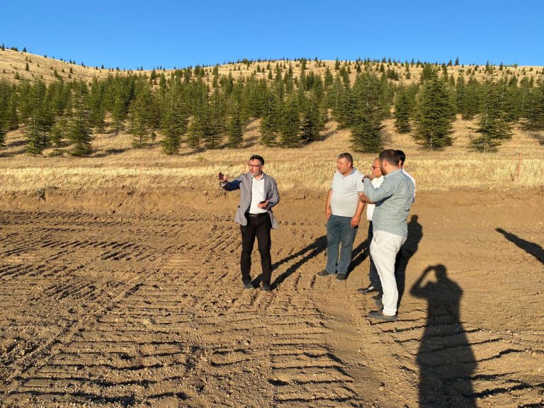 Hayvanlara şefkat, Yerköy’e temiz enerji