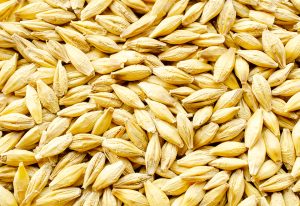 Aydoğmuş’tan Arpa ithalatına sert tepki