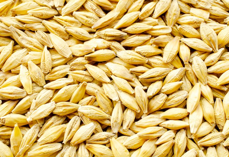 Aydoğmuş’tan Arpa ithalatına sert tepki