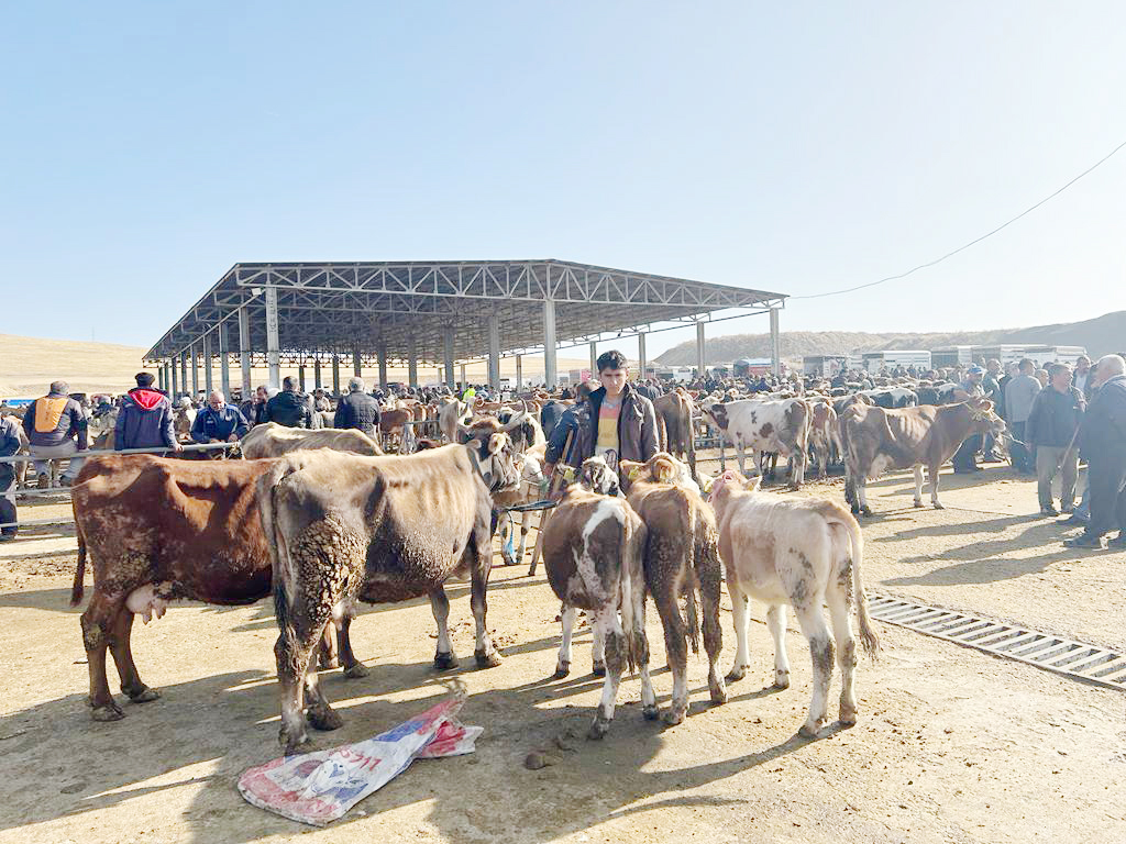 Yozgat’ta hayvan pazarları açılıyor