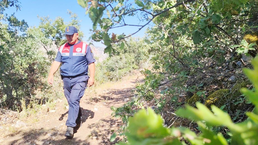 Keklik yavruları gözlemlendi