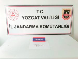 Uyuşturucu operasyonunda 2 şahıs gözaltına alındı