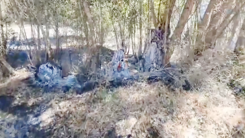 Valilik: İhmal orman ve yerleşim alanlarını tehdit ediyor