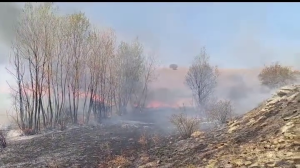 Yozgat’ta çıkan yangında 1500 dekar anız yandı