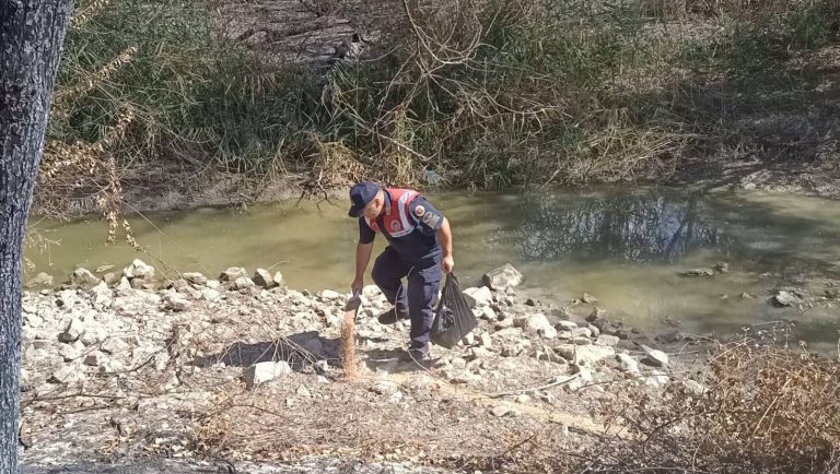 Jandarma’dan hayvanları koruma çalışması
