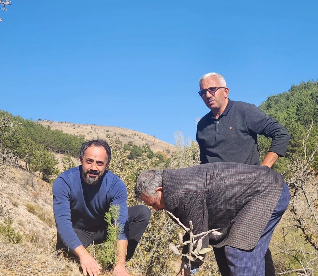 AK Parti’den ağaçlandırma çalışması