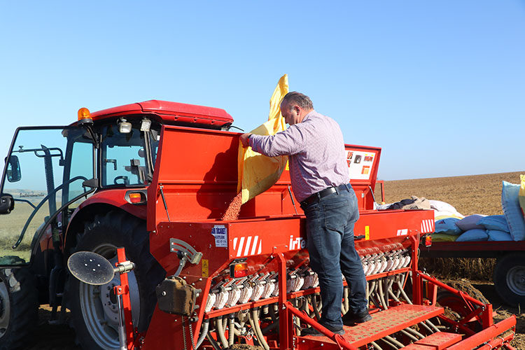 2025 Yılı hububat ekim sezonu başladı