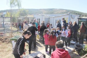 Evcil Köy’de Kedi Oteli hizmete açıldı