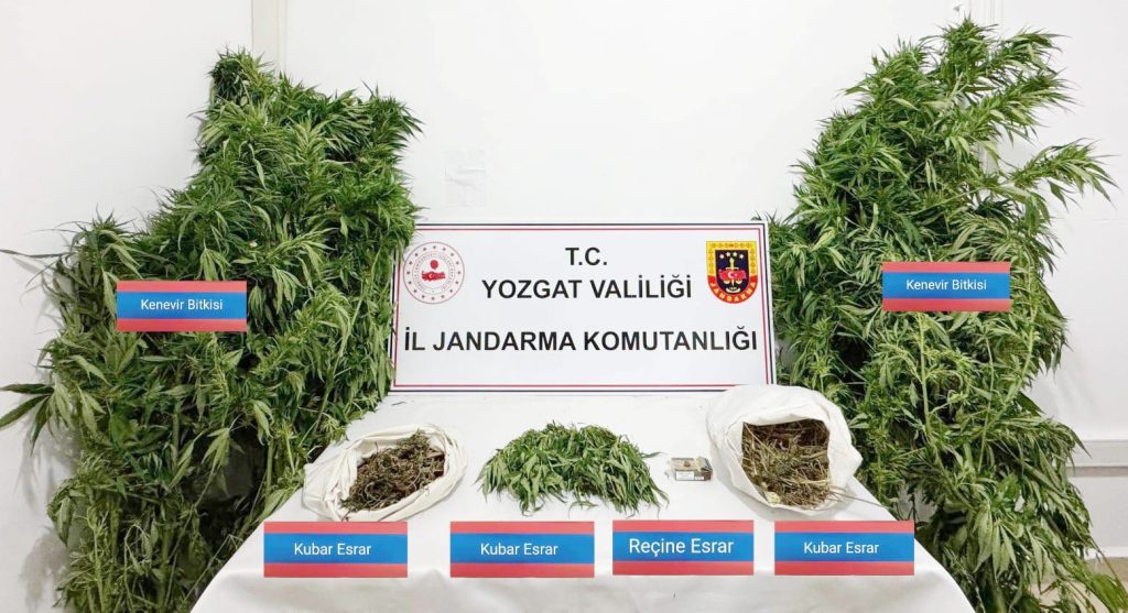 Kenevir operasyonu: 4 şahıs yakalandı