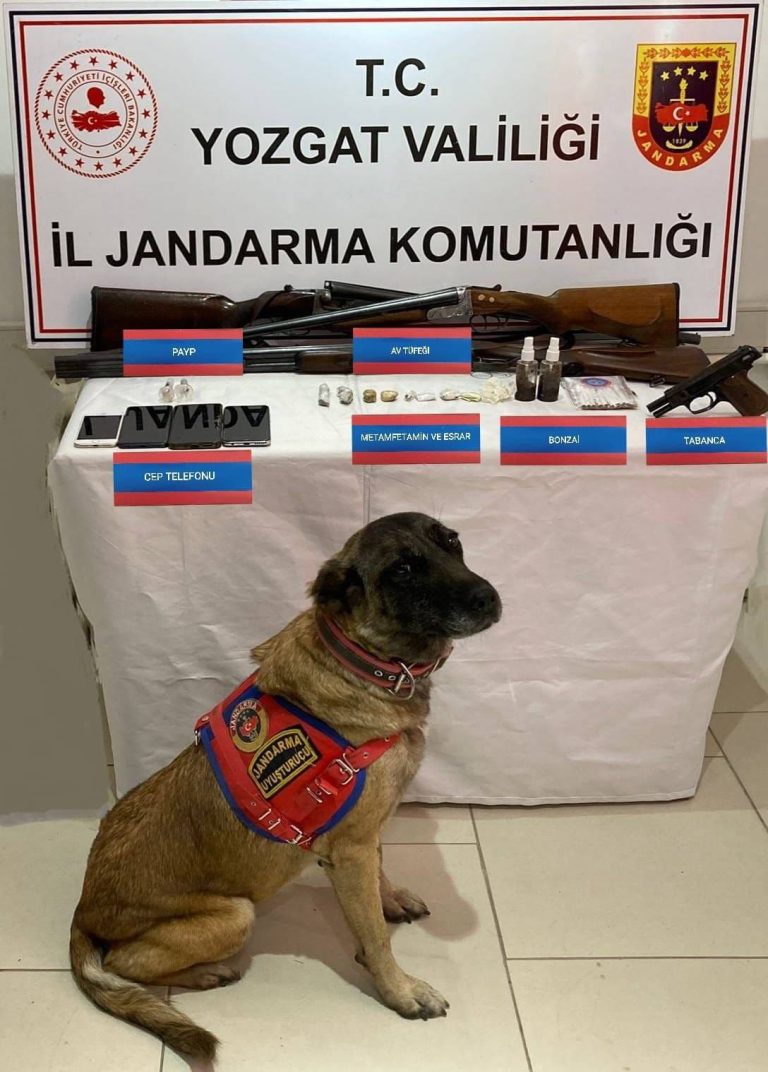 VİDEOLU HABER Jandarma’dan uyuşturucu operasyonu: 4 kişi tutuklandı