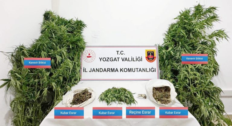 Kenevir operasyonu: 4 şahıs yakalandı