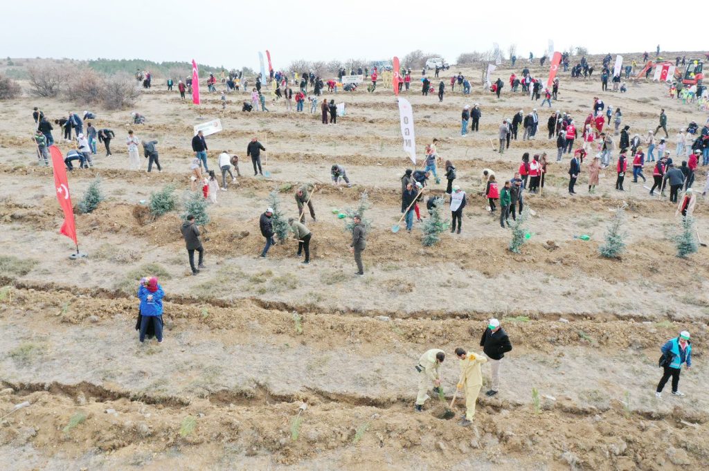 Binlerce fidan toprakla buluştu