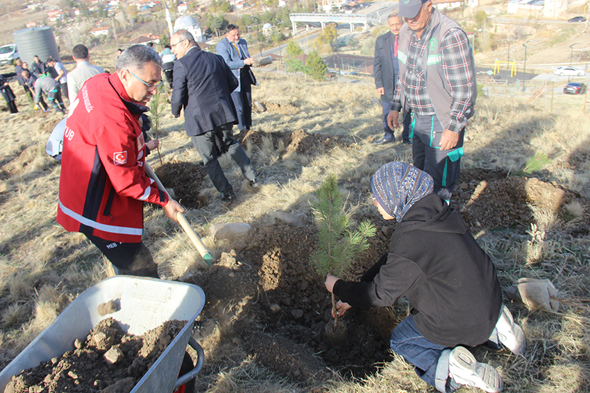 VİDEOLU HABER Öğretmenler Hatıra Ormanı oluşturuldu