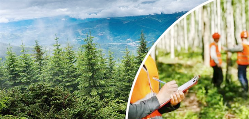 496 sözleşmeli personel alımı yapacak