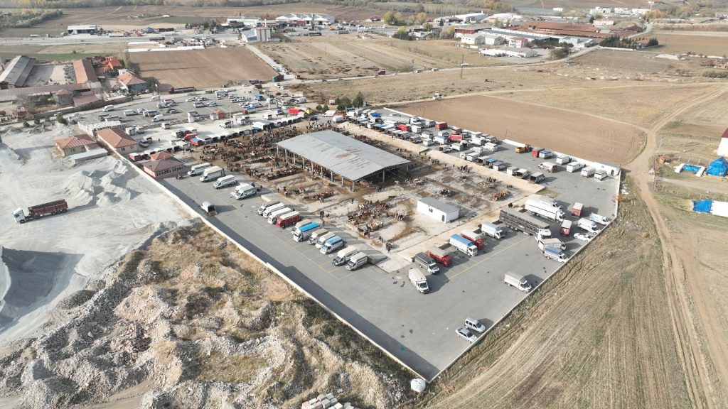 Sorgun hayvan pazarı yeniden açıldı