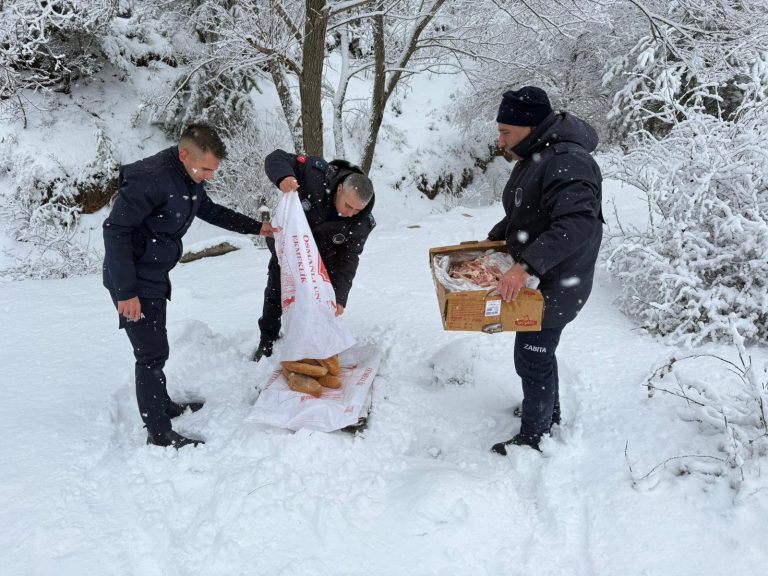 Zabıta ekipleri yabani hayvanlar için yem bıraktı