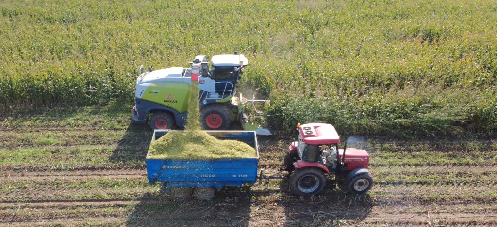 TİGEM 254 sürekli işçi alımı yapacak