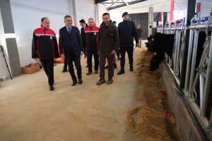 Yozgat’ta 26 damızlık gebe düve teslim edildi