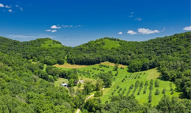 2B arazilerinde ikinci şans: Başvurular 31 Temmuz’da sona erecek