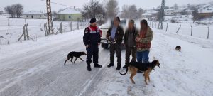 Jandarmadan avlaklarda denetim