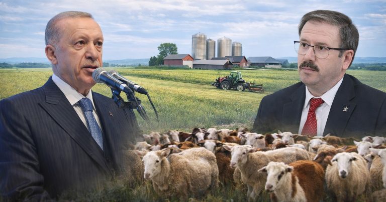 Üreticilere 100 başlık hayvan desteği