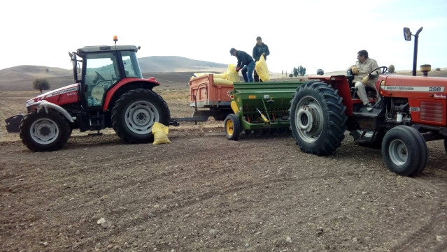 Tarımsal destekler hesaplara aktarıldı