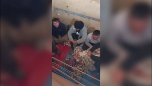 VİDEOLU HABER: Gizli bölmede 6 kaçak göçmen yakalandı