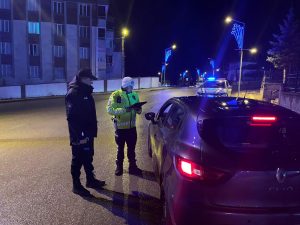 Emniyet ve jandarma ortak denetim