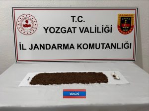 Şüpheli şahsın üzerinde bonzai bulundu
