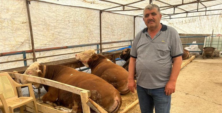 Vatandaşlar şimdiden kurban arayışına başladı