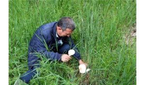 Uzmanlardan mantar uyarısı