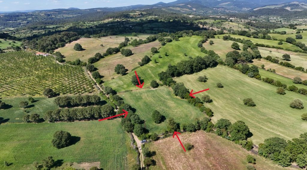 Kaçak bağ evlerine yıkım kararı