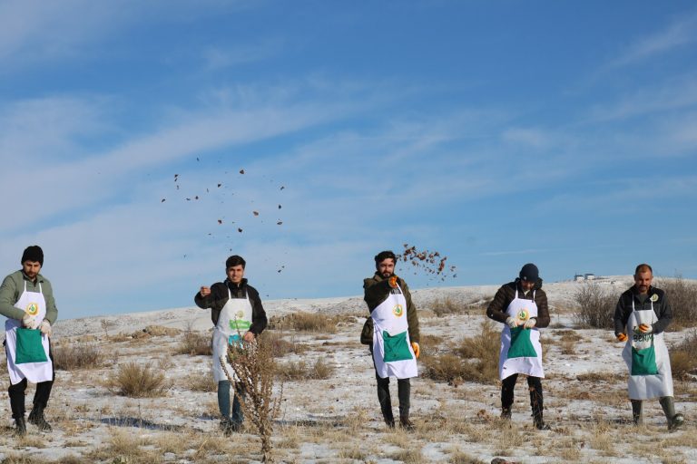 Yozgat’ta sedir tohumları toprakla buluştu