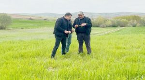 Yağışlar çiftçinin yüzünü güldürdü