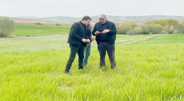 Yağışlar çiftçinin yüzünü güldürdü