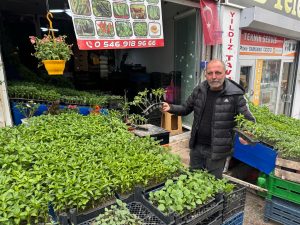 Yağışlı hava fide satış sezonunu uzattı