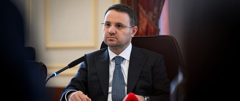 Vize çetesine 6 ilde operasyon